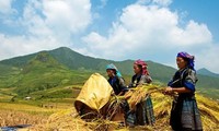 Vietnam evalúa despliegue del programa de desarrollo comercial en zonas montañosas