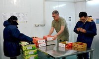 Expertos estadounidenses llegan a Vietnam para poner en cuarentena frutas exportables