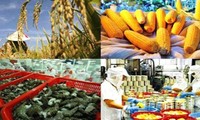 Vietnam aboga por promover las exportaciones agrícolas, forestales y acuáticas para 2030