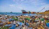 Piden refuerzo de la comunicación para reducir los residuos plásticos en Vietnam