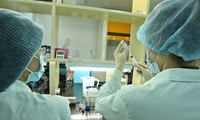 Organización Mundial de la Salud elogia el sistema de gestión de vacunas de Vietnam