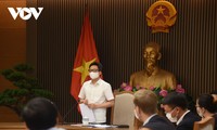Vicepremier de Vietnam insta a más aportaciones financieras al fondo de vacunas contra el covid-19