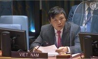 越南呼吁阿富汗有关各方达成停火协议