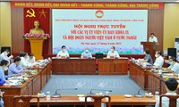 Vietnamitas en ultramar unidos para apoyar la lucha anticovid-19 en el país natal