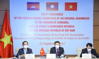 Vietnam intensifica cooperación parlamentaria en respuesta al covid-19