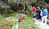 El mercado de Hang, un espacio cultural singular en el seno de Hai Phong