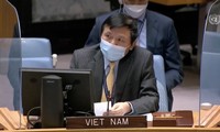 Vietnam apoya firmemente la lucha justa del pueblo palestino
