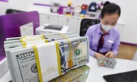 Se estiman en 12 mil 500 millones de dólares las remesas enviadas a Vietnam en 2021