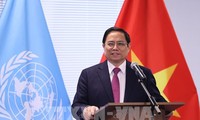 Insta a elevar la calidad, capacidad e inteligencia de Vietnam en la solución de asuntos bilaterales y multilaterales