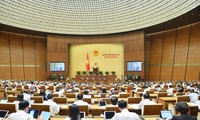 Parlamento de Vietnam analiza proyecto de Ley de Propiedad Intelectual