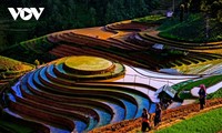 El arte de embellecer​ terrazas de arroz en Mu Cang Chai