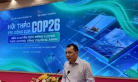 Vietnam busca transformar la energía hacia un crecimiento verde y sostenible​