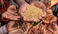 Hacia un sistema alimentario sostenible del mundo 