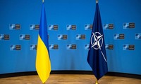 Ucrania se une oficialmente al centro de defensa cibernética de la OTAN