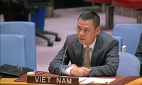 Vietnam asiste a un debate abierto del Consejo de Seguridad sobre “Cambio climático, paz y seguridad”