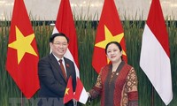 Medios indonesios resaltan la tradicional amistad con Vietnam 