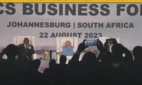 Arrancan la XV Cumbre de los BRICS en Johannesburgo, Sudáfrica