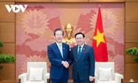 Vietnam busca fortalecer relaciones amistosas con Japón