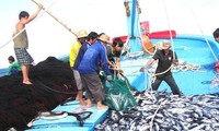  Instan a localidades vietnamitas a fortalecer la gestión de embarcaciones pesqueras