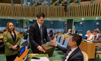 Eligen nuevos miembros para Consejo de Derechos Humanos de la ONU