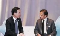 Presidente vietnamita se reúne con el rey de Brunei