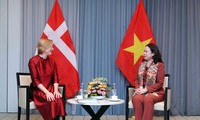 Vicepresidenta de Vietnam se reúne con representantes de la Asociación de Amistad Dinamarca – Vietnam