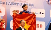 Equipo vietnamita de wushu compite exitosamente en los Juegos Mundiales