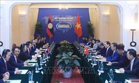 Celebran X Consulta a nivel ministerial Vietnam-Laos