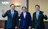 Jefe del Gobierno vietnamita se reúne con líderes regionales al margen de la Cumbre ASEAN-Japón