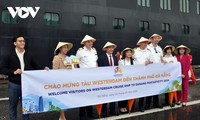 Primeros turistas extranjeros llegan a Da Nang por vía marítima en 2024 