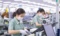 Empresas de IED aportan un 73,1 % del valor total de exportaciones de Vietnam en 2023