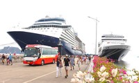 Quang Ninh recibirá 60 cruceros turísticos internacionales en 2024