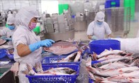 Exportaciones agroforestales y pesqueras de Vietnam aumentan un 79​% en enero