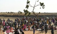  Consejo de Seguridad de las Naciones Unidas analiza la situación en Sudán