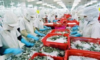 Exportaciones agrícolas, forestales y pesqueras de Vietnam superan los 19 mil millones de dólares