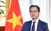 Vietnam empeñado en garantizar mejor los derechos humanos