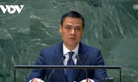 Vietnam respalda promoción de la educación en agenda de la ONU