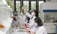Gobierno de Vietnam promulga plan de acción sobre construcción de equipo de intelectuales