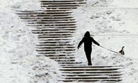 สภาพอากาศที่หนาวเย็นในยุโรปส่งผลให้มีผู้เสียชีวิต 222 คน