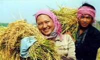 หน่วยงานการเกษตรบรรลุการขยายตัวอย่างน่ายินดีในไตรมาสแรกของปี 2012