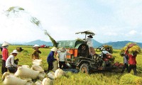 พัฒนาการเกษตร ชนบทเวียดนามจนถึงปี 2030 