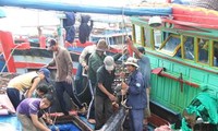 เพิ่มมูลค่าให้แก่ผลิตภัณฑ์ปลาโอของเวียดนาม