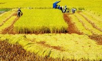 การเกษตรคือเสาหลักของเศรษฐกิจเวียดนามในปี๒๐๑๒