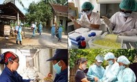 เวียดนามพร้อมที่จะรับมือกับโรคระบาดไข้หวัดนกสายพันธุ์ใหม่ H7N9