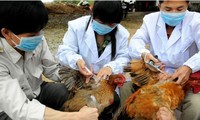 ผลักดันงานด้านการป้องกันโรคไข้หวัดนกสายพันธุ์ใหม่ H7N9