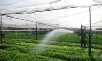 การประยุกต์ใช้วิทยาศาสตร์เทคโนโลยีในการผลิตเกษตรในนครโฮจิมินห์