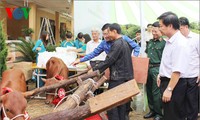 ประธานประเทศเจืองเติ๊นซางเข้าร่วมพิธีมอบวัวพันธุ์ให้แก่คนจน