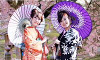 งานวันวัฒนธรรมญี่ปุ่นในจังหวัดแทงฮว้า