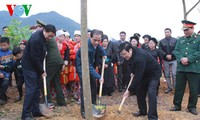 ประธานประเทศ เจืองเติ๊นซาง เปิดการรณรงค์ตรุษเต๊ตปลูกต้นไม้