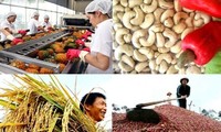 สินค้าอุตสาหกรรมและเกษตรของเวียดนามที่ส่งออกไปยังประเทศจีนค่อยๆเพิ่มขึ้น
